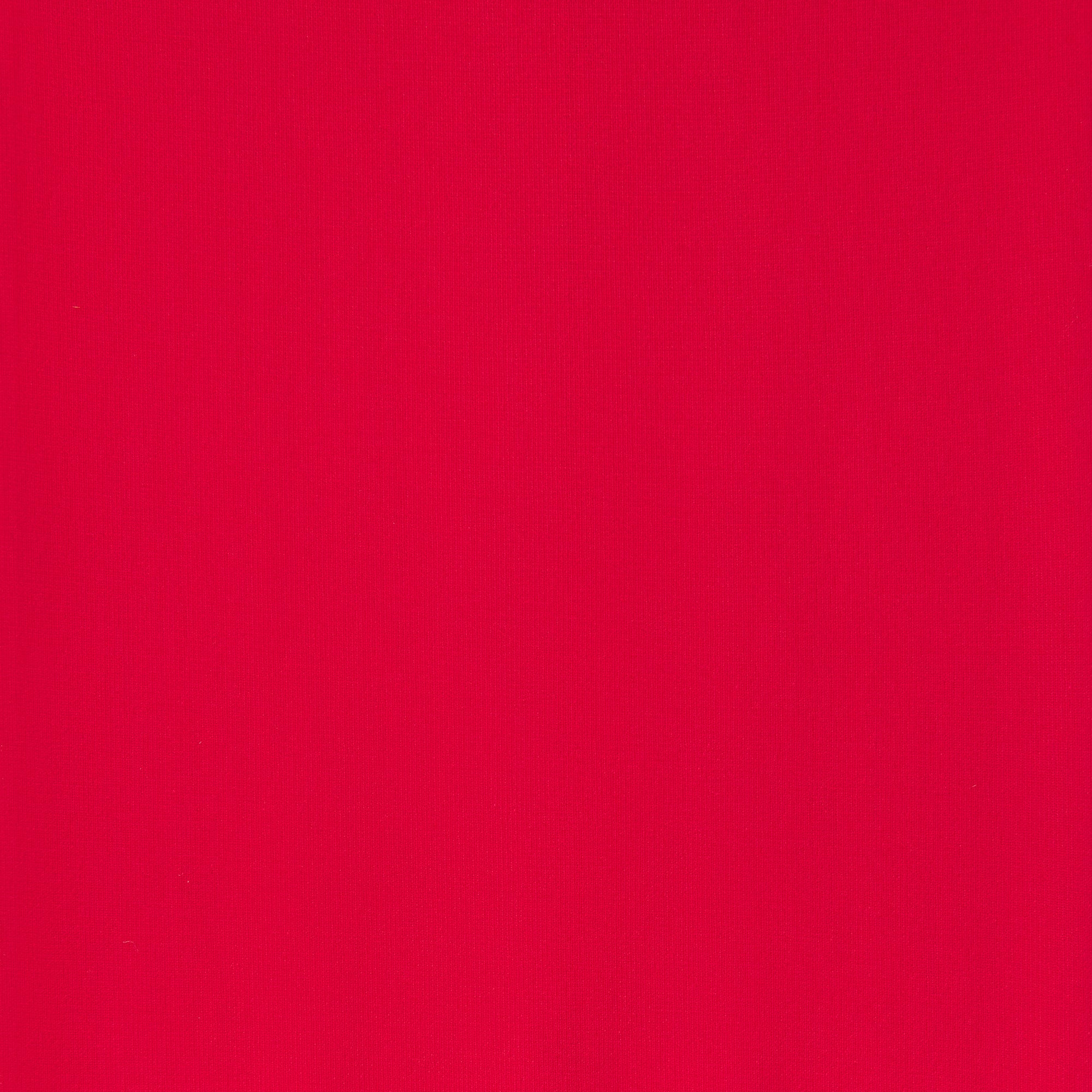 HOSIERY THIGH HIGH STOCKINGS | RUBY