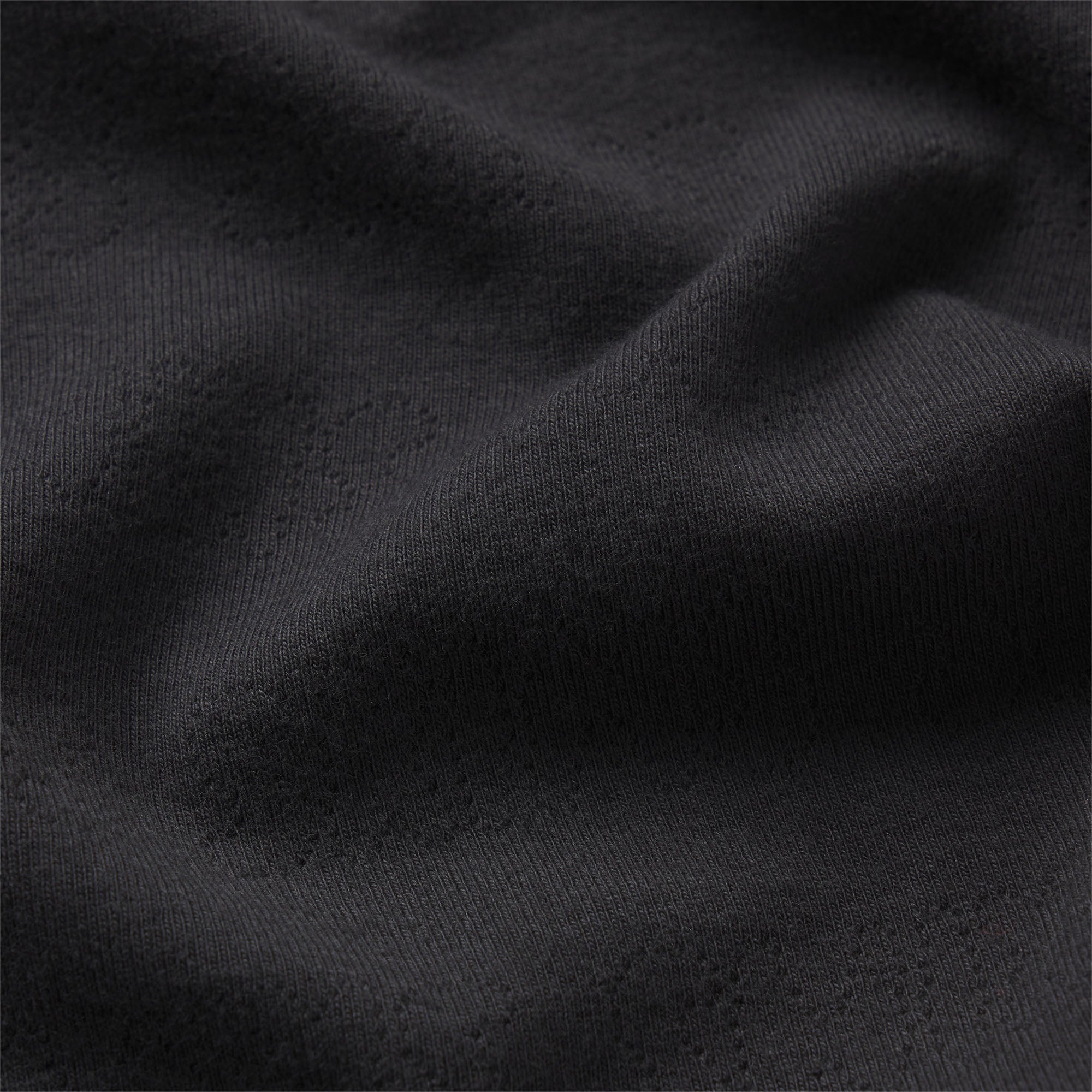 LOGO POINTELLE CAMI | ONYX